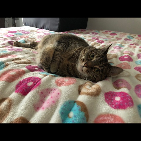 Meet Your Posher, Rinnie - Picture 5 of 5